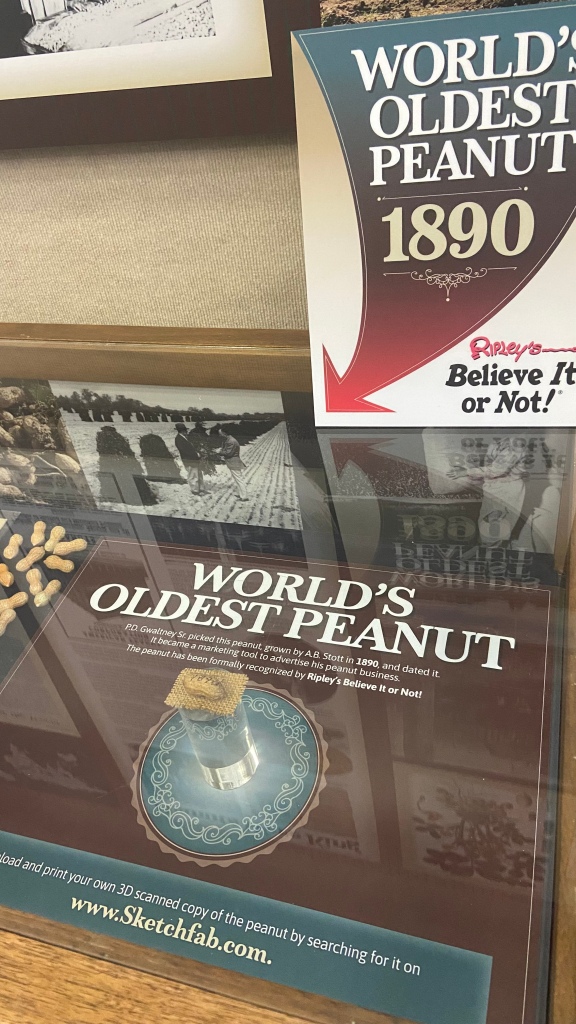 world’s oldest peanut