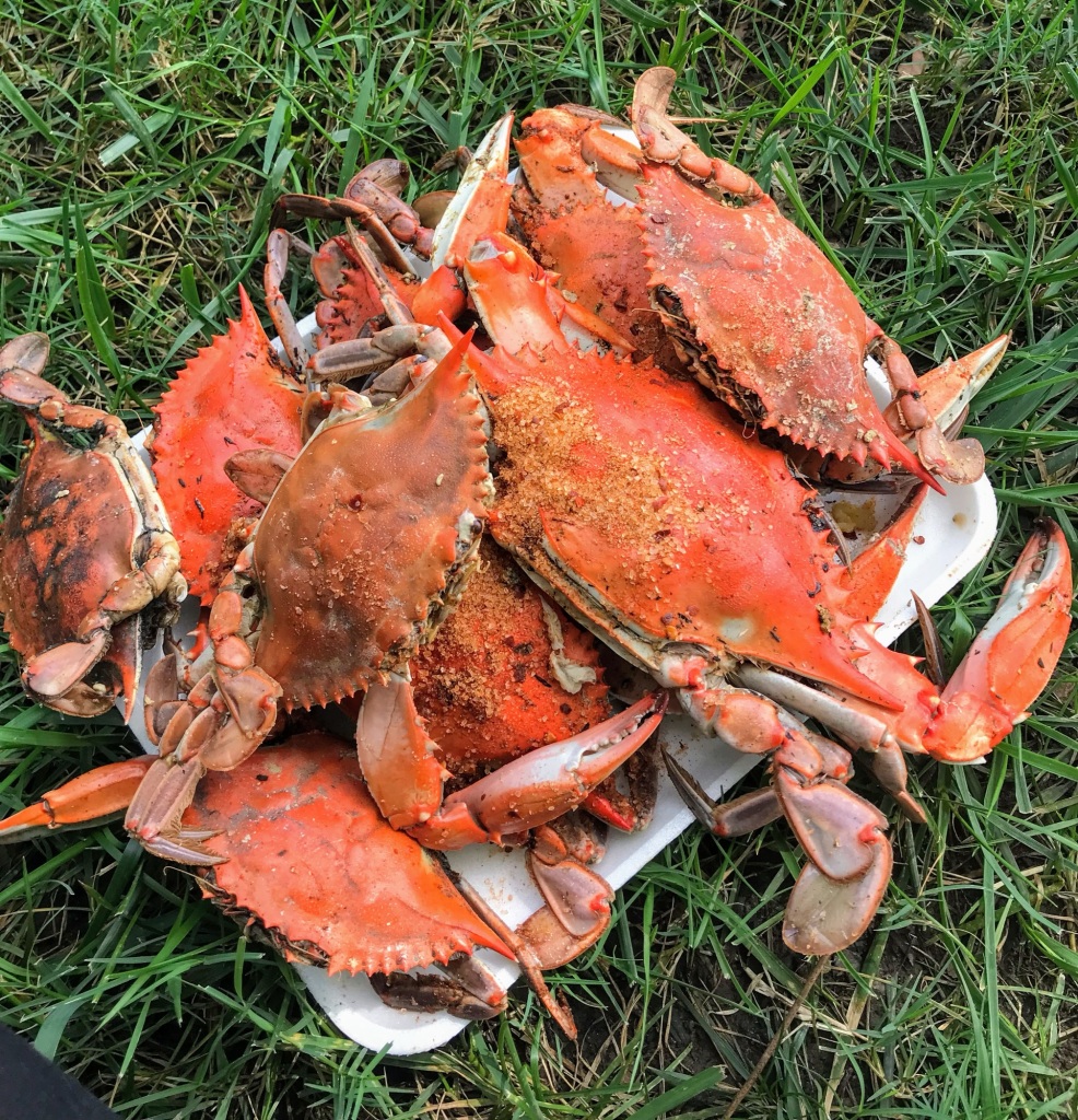 Crab Festival Richmond Virginia